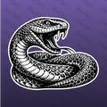 Desert Diamondback · Stencil Lab Edition