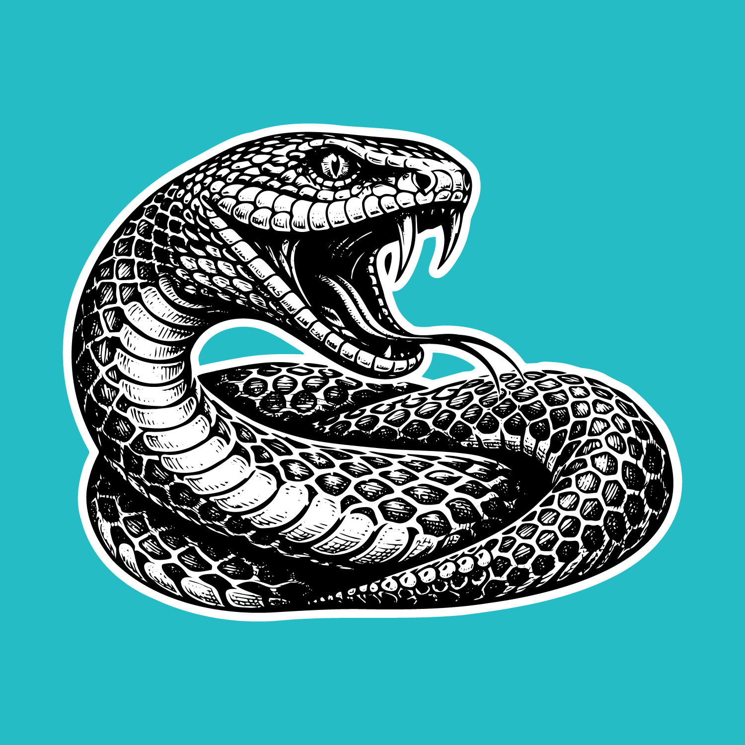 Desert Diamondback · Stencil Lab Edition